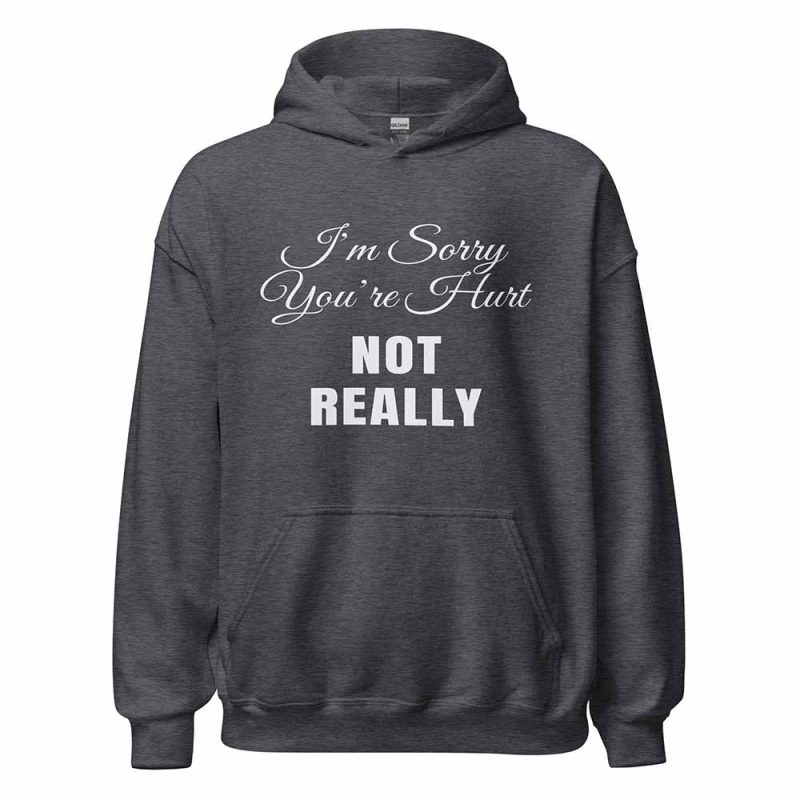I’m Sorry You’re Hurt… Not Really Hoodie dark heather