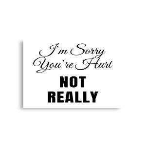 I’m Sorry You’re Hurt… Not Really Poster horizontal