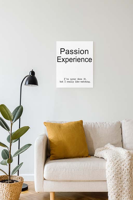 Passion ≠ Experience Poster