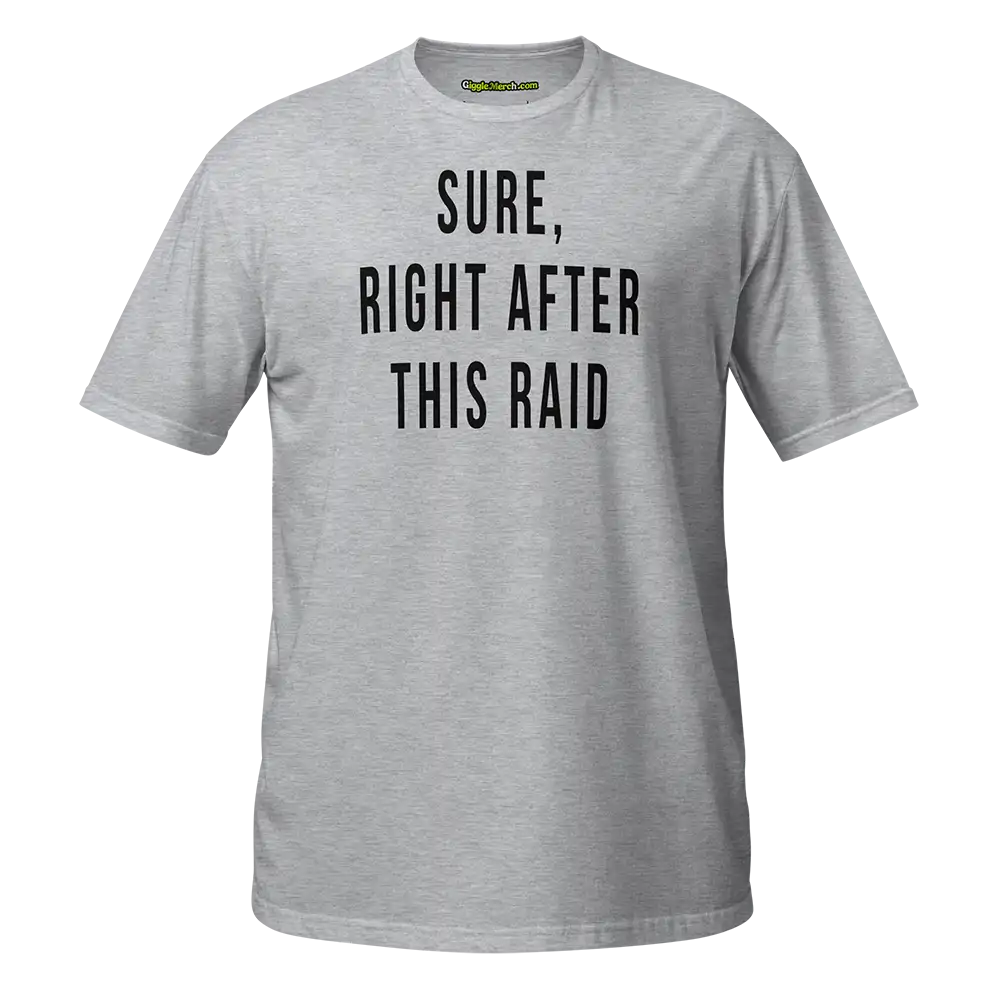 Sure Right After This Raid T-shirt grey