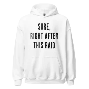 Sure Right After This Raid Hoodie